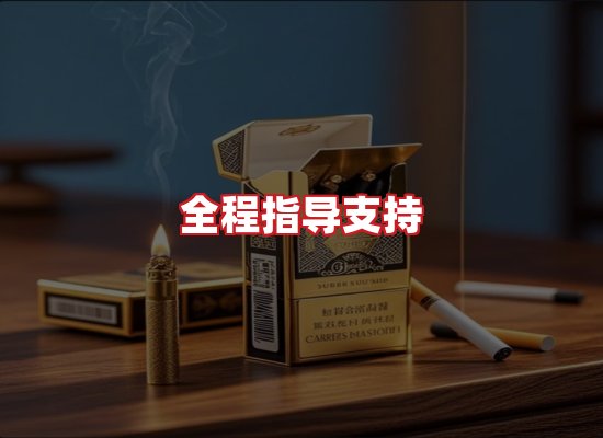 专业团队